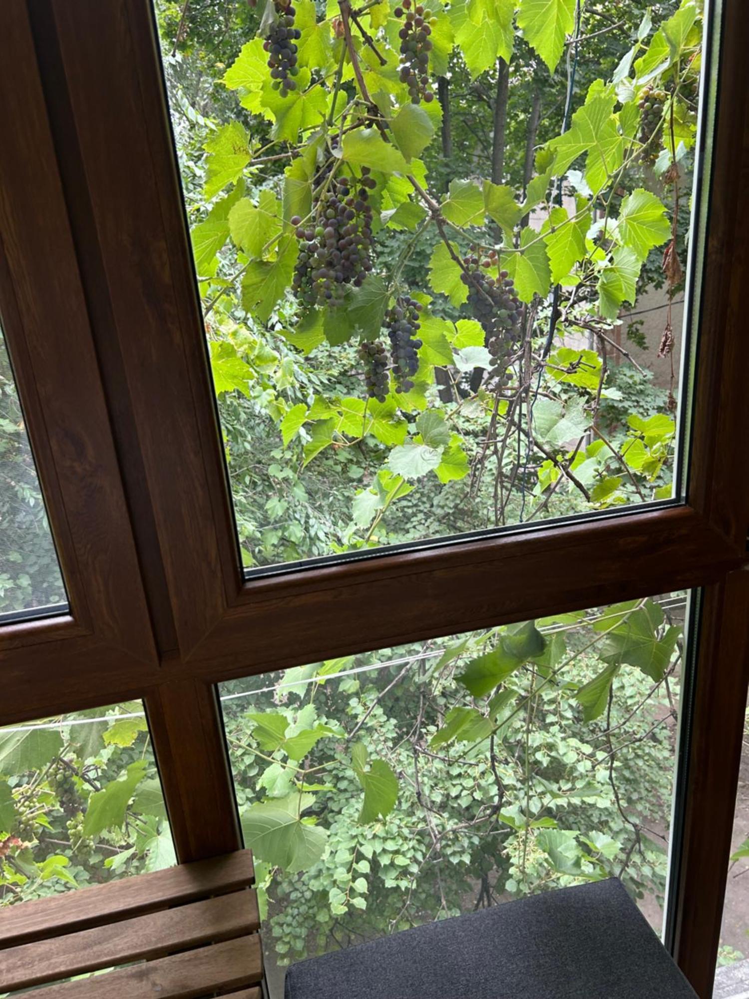 Leninstr Apartment บัลต์ซี ภายนอก รูปภาพ